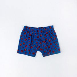 BÓXER SPIDERMAN
