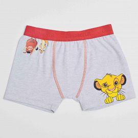 7196 - BOXER SIMBA